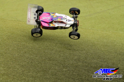 2015 DM 4WD Buggy 4WD Juni